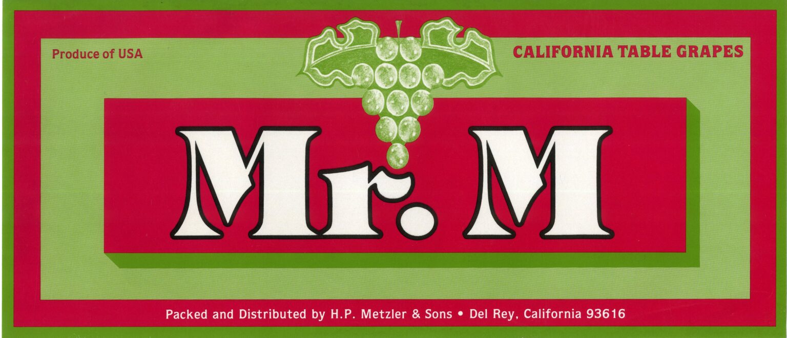 Mr. M